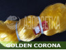 Сетеполотно Golden Corona, 40х0.14*4х75х150, скрученная леска