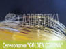 Полотно сетевое Golden Corona, 55х0,25х75х150